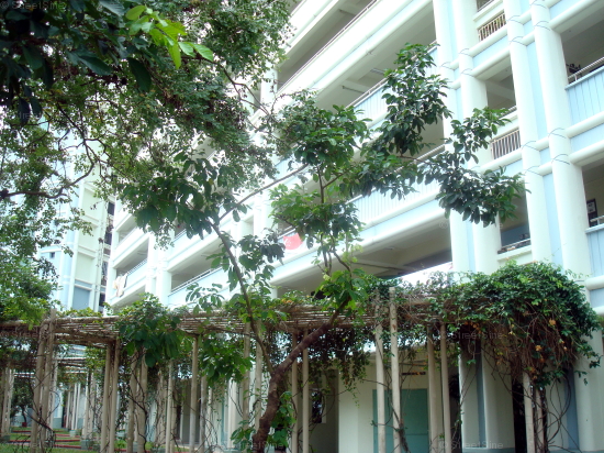 Blk 896C Woodlands Drive 50 (Woodlands), HDB 5 Rooms #350732